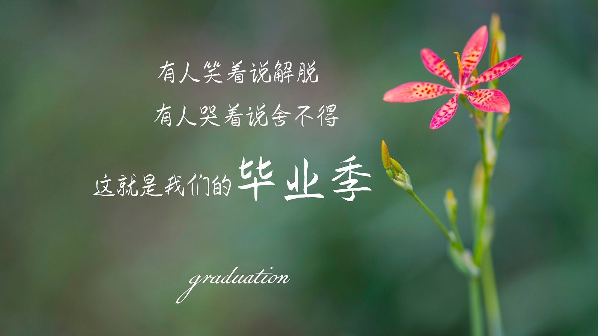 开云·体育官网APP下载-史上最年轻“冠军得主”首次亮相欧冠，最年轻的欧冠冠军球员