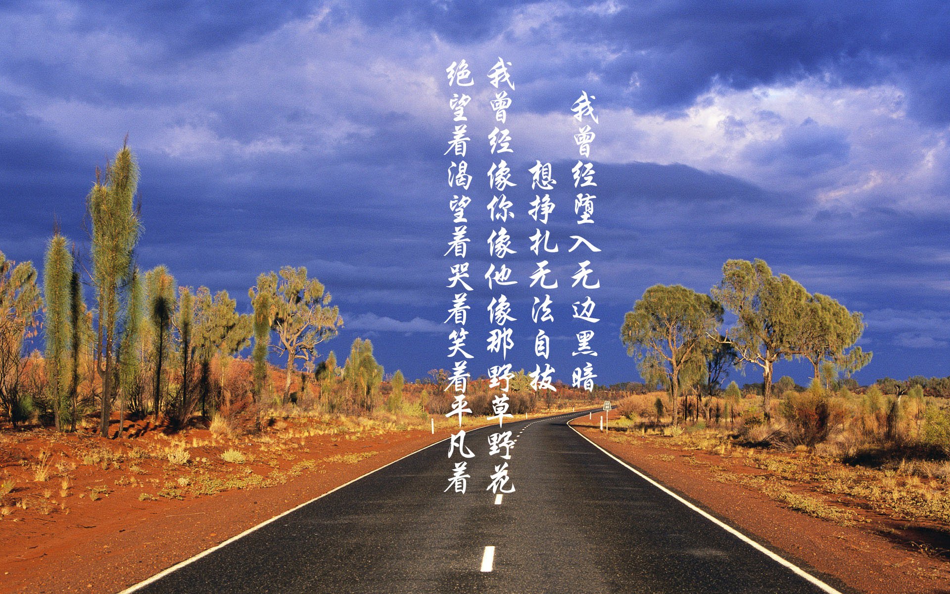 尼日利亚球队战术创新，尼日利亚阵容名单