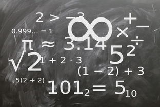 开云下载-中小学体育课程标准实施现状与教师执行力研究，中小学体育新课标测试题