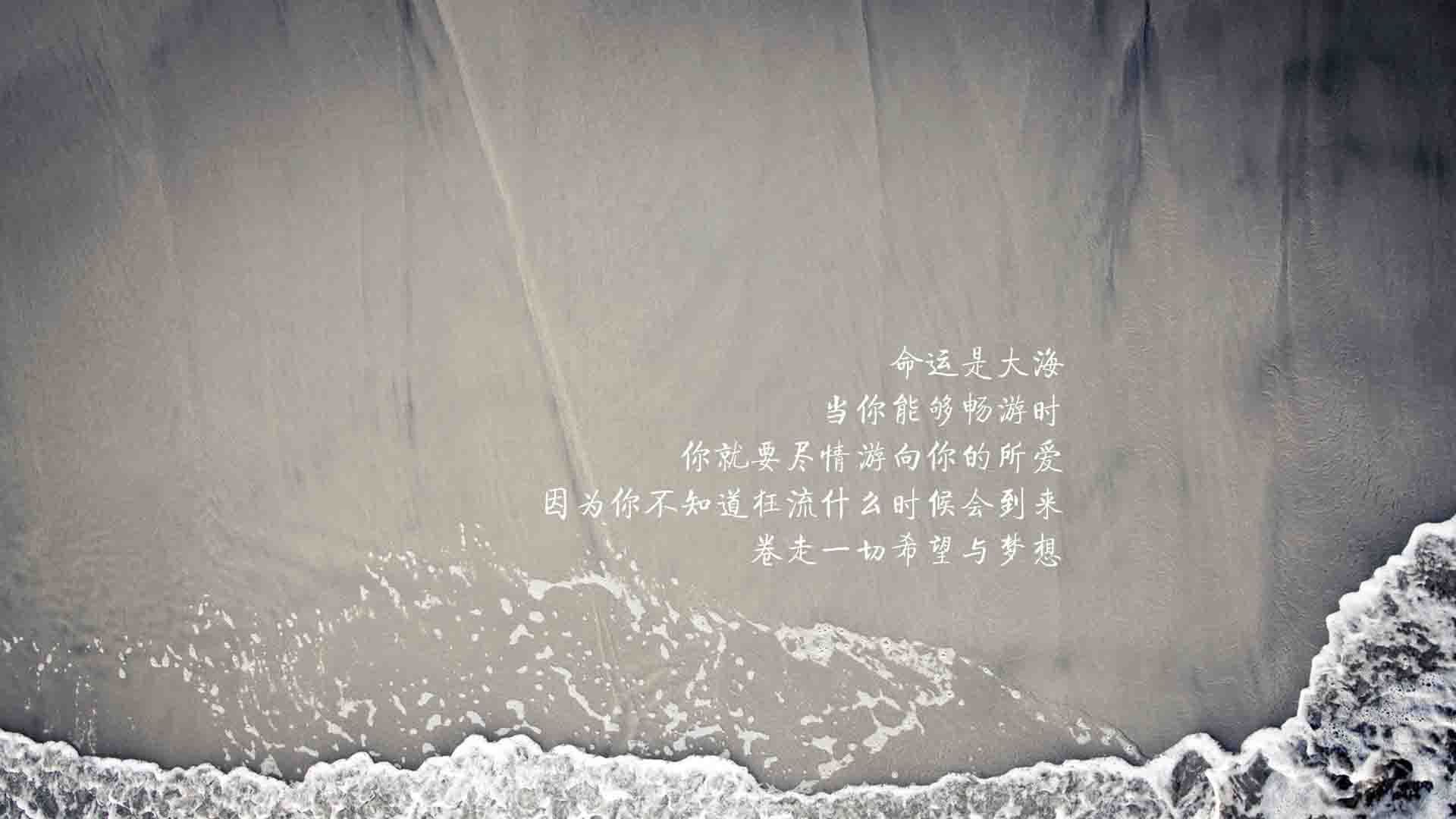 数字化青训平台实现个性化训练计划，提升青少年发展质量，全国青少年数字化平台