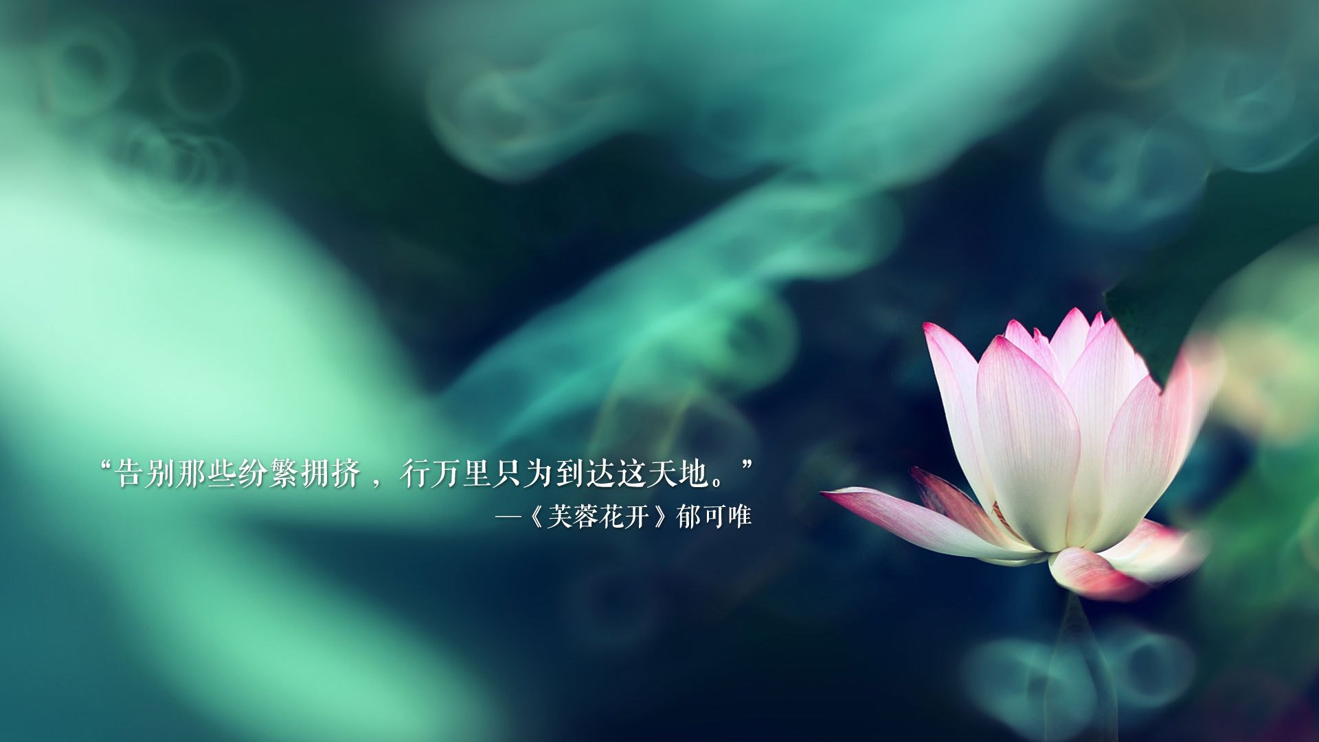开云在线直播-瑞·弗兰：在防守端的无懈可击和进攻端的犀利突破让他成为全黑队的中流砥柱