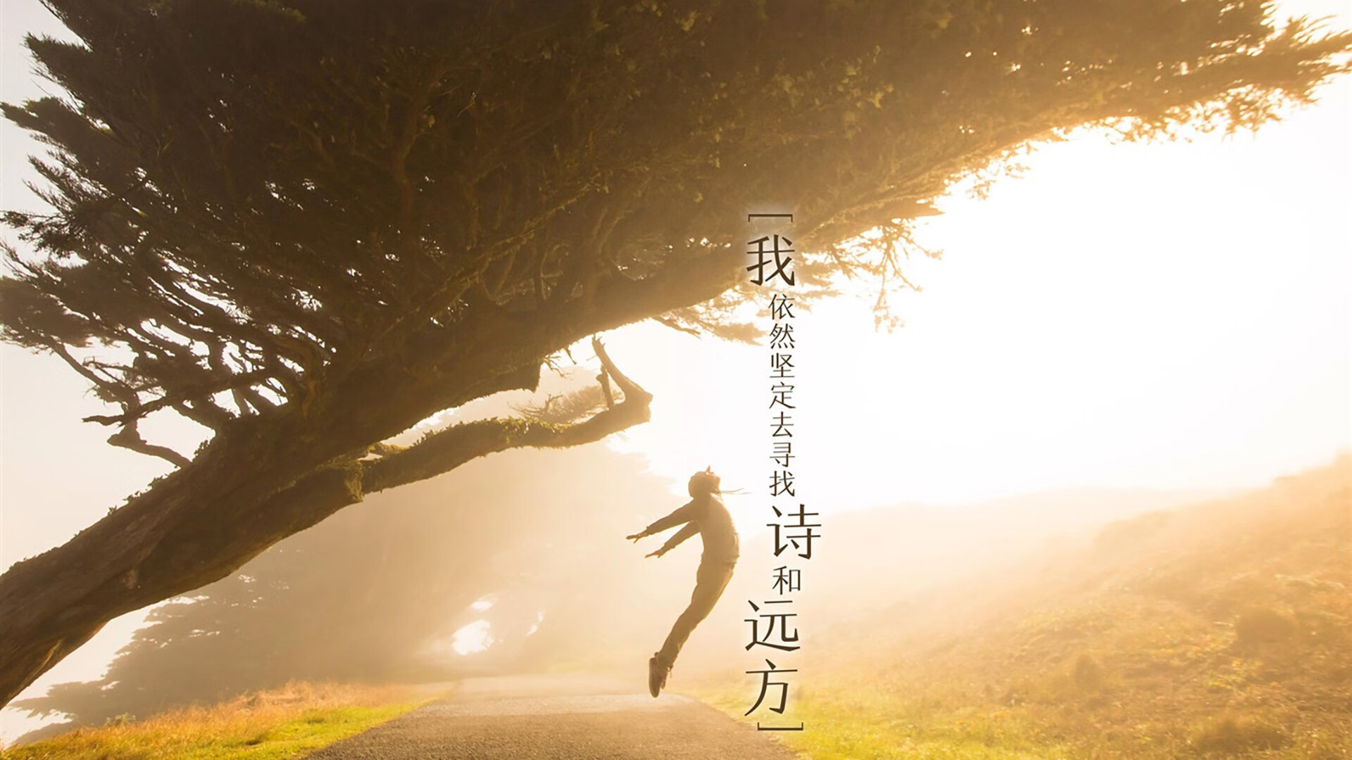 开云下载-训练基地开放日吸引球迷参观近距离了解球员备战日常，训练基地叫什么
