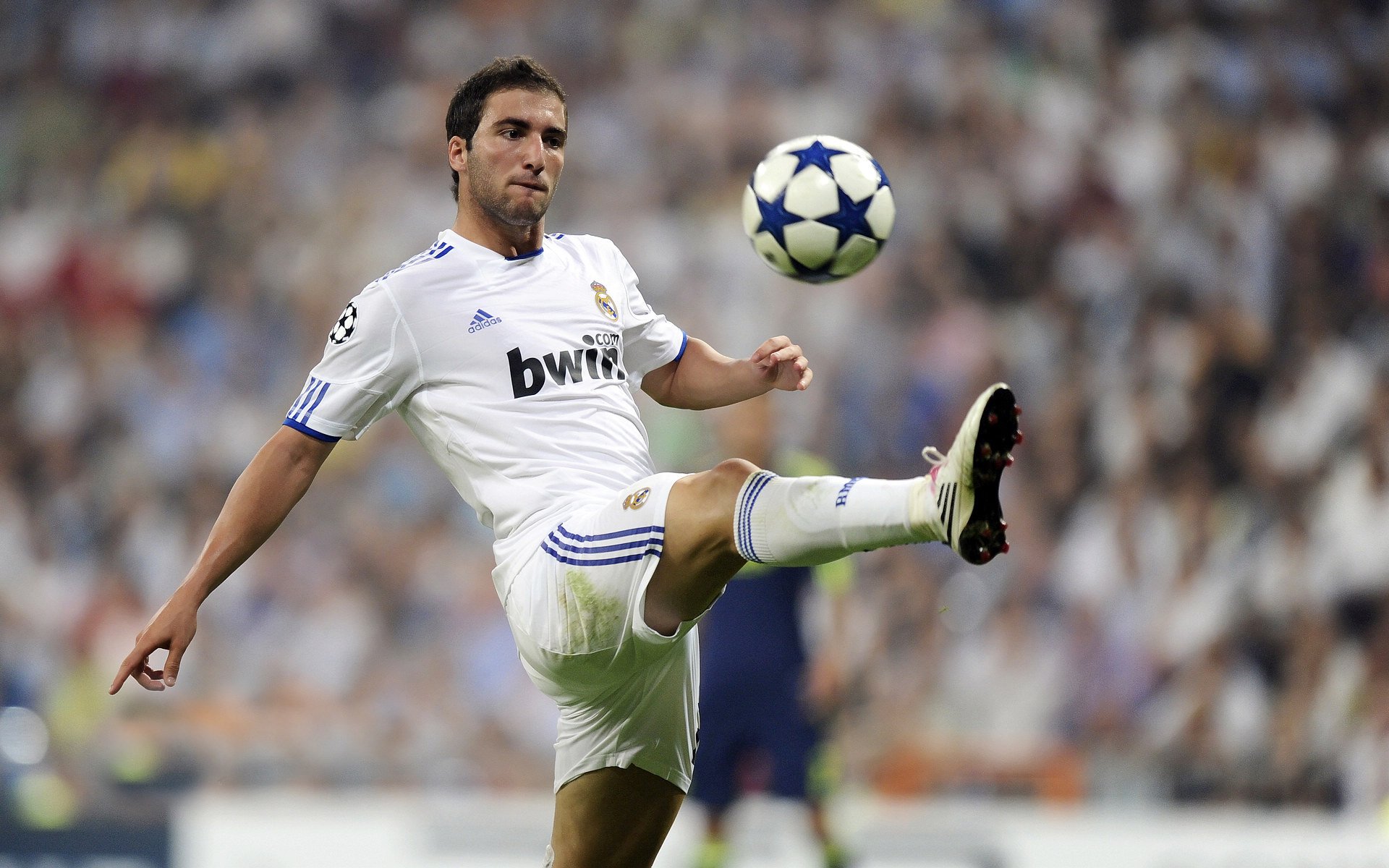 德甲球队备战冬窗引援，提升整体实力，德甲冬窗转会