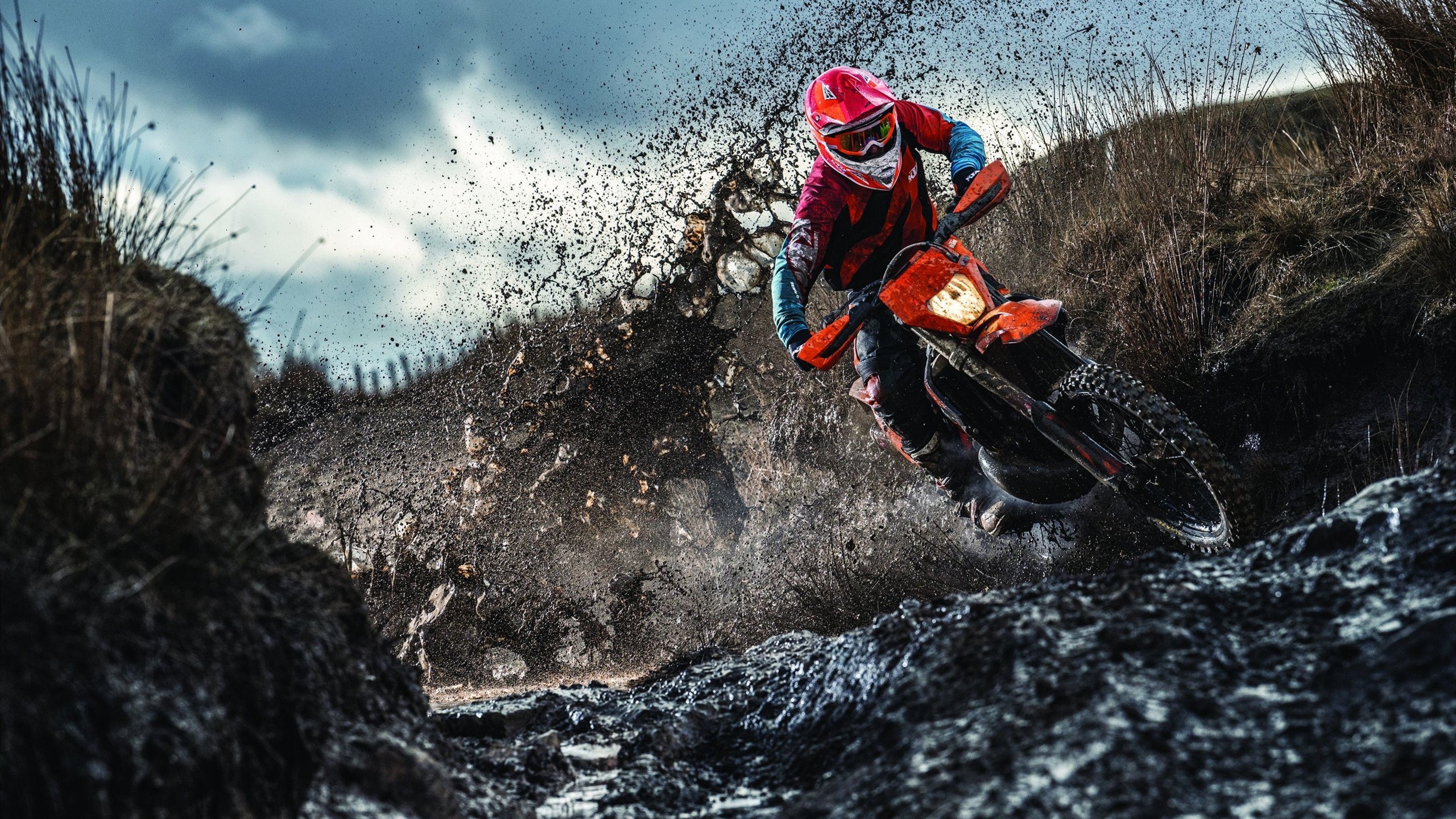 西骑手斯蒂芬·巴尔查携手“Chevaux Primavera”勇夺巴黎奥运会三项赛金牌，感动全场。